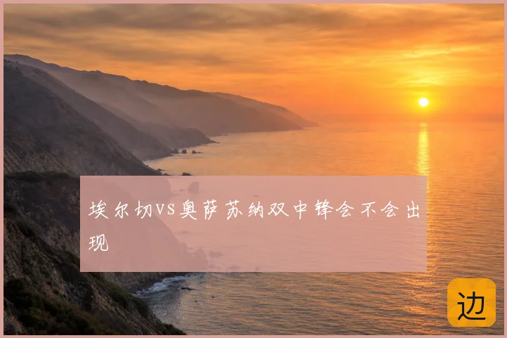 埃尔切vs奥萨苏纳双中锋会不会出现